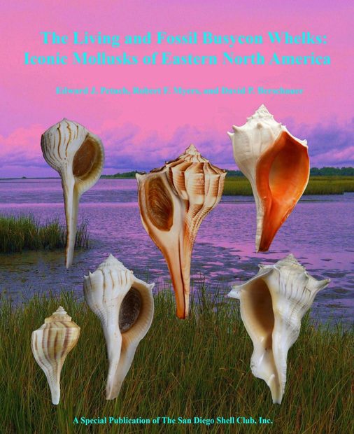 The Living and Fossil Busycon Whelks