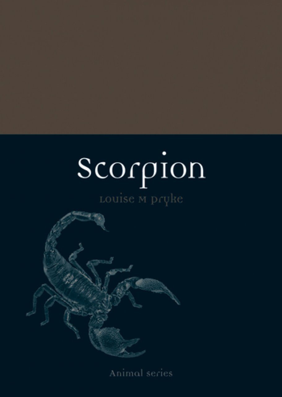 Scorpion | NHBS Academic & Professional Books