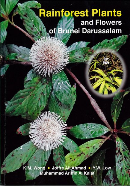 Rainforest Plants and Flowers of Brunei Darussalam