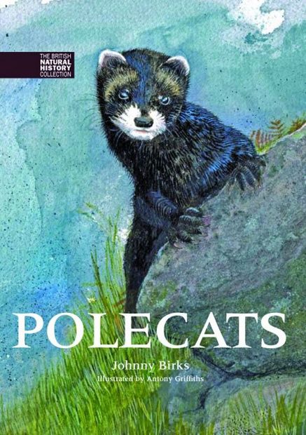 Polecats