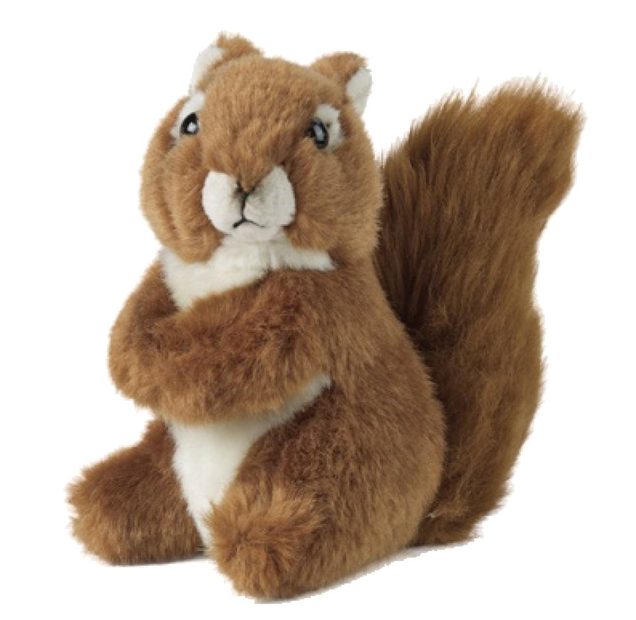 Red Squirrel Soft Toy