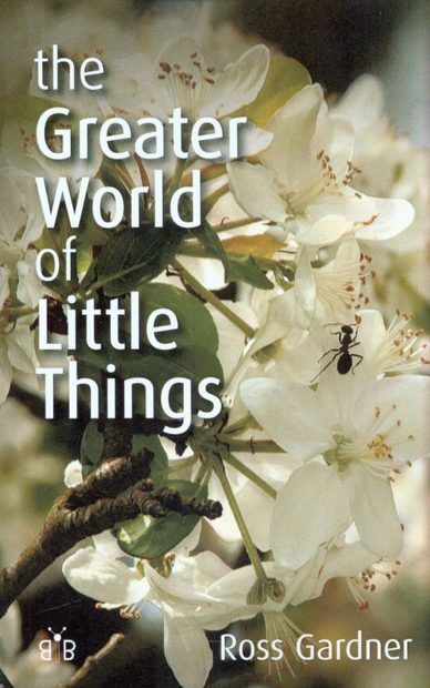 The Greater World of Little Things