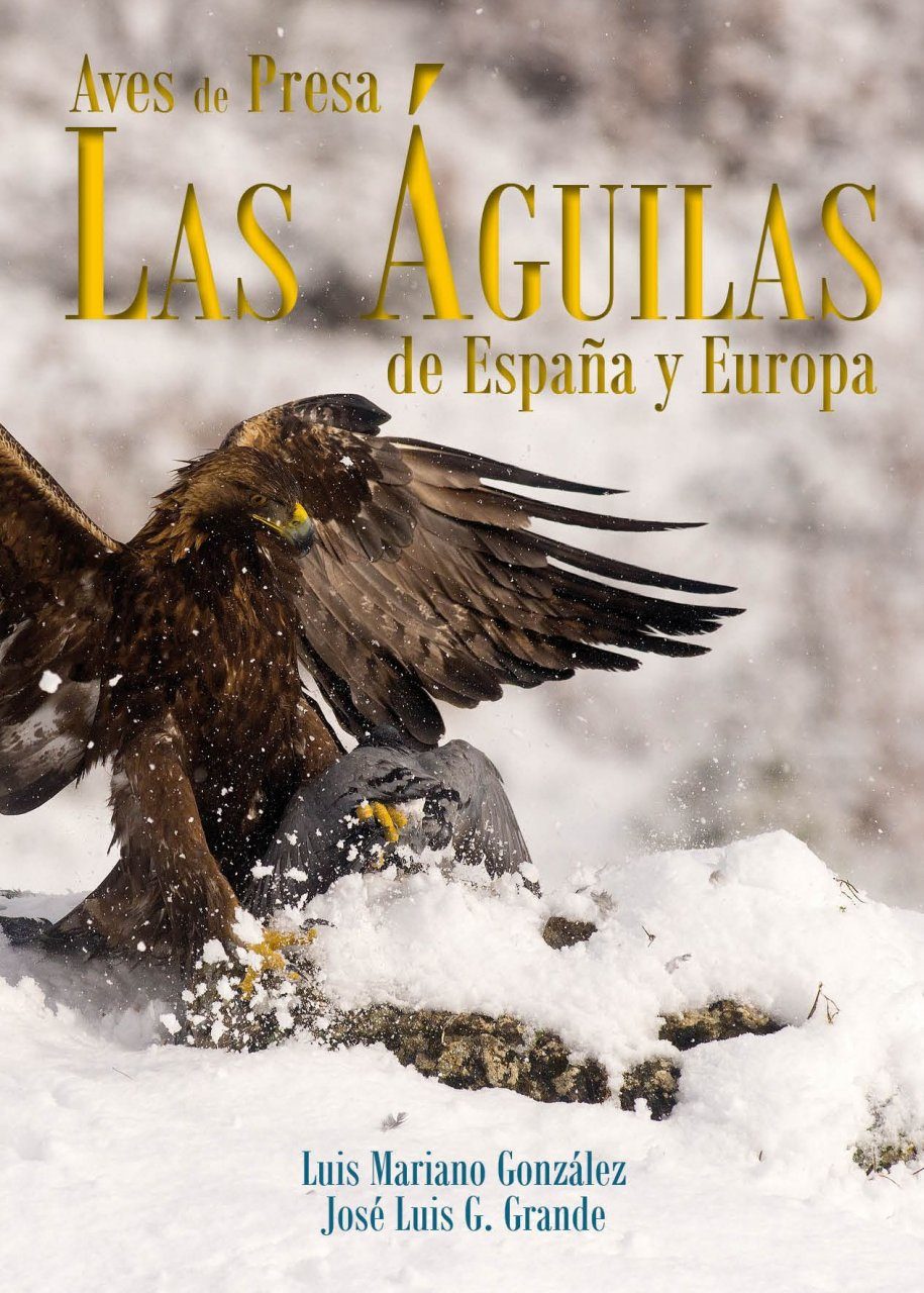 Aves de Presa: Las Águilas de España y Europa [Birds of Prey: The Eagles of  Spain and Europe] | NHBS Academic & Professional Books