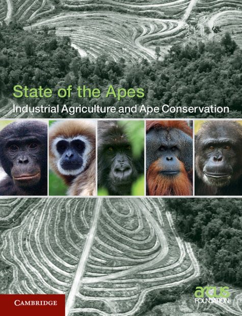 Industrial Agriculture and Ape Conservation