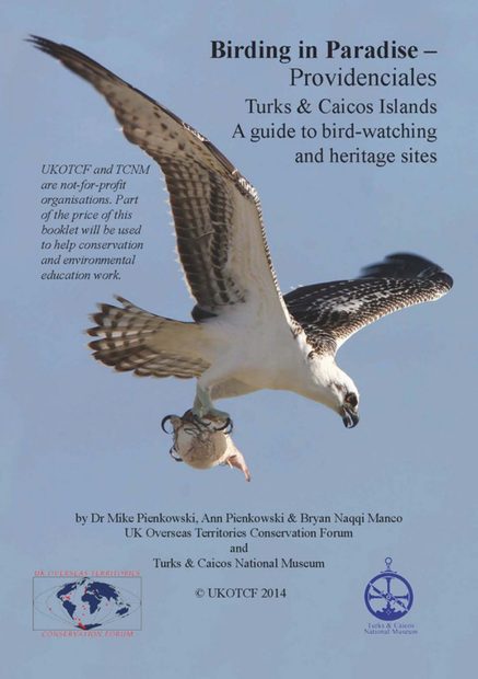 Birding in Paradise – Providenciales