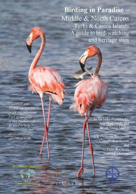 Birding in Paradise – Middle & North Caicos