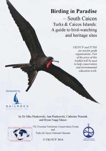 Birding in Paradise – South Caicos