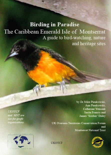 Birding in Paradise – The Caribbean Emerald Isle of Montserrat