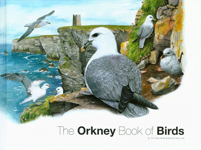 The Orkney Book of Birds