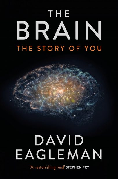 The Brain