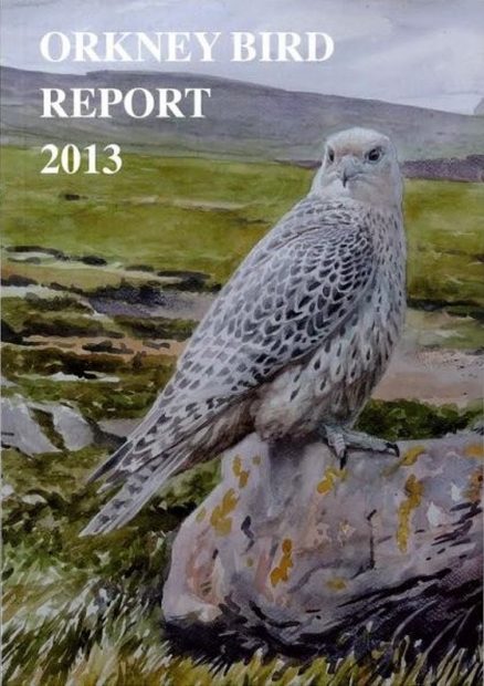 Orkney Bird Report 2013