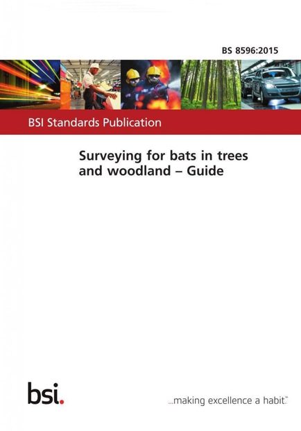 Surveying for Bats in Trees And Woodland: Guide (BS 8596:2015)