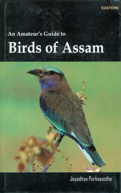 An Amateur's Guide to Birds of Assam