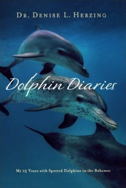 Dolphin Diaries