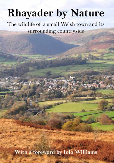Rhayader by Nature