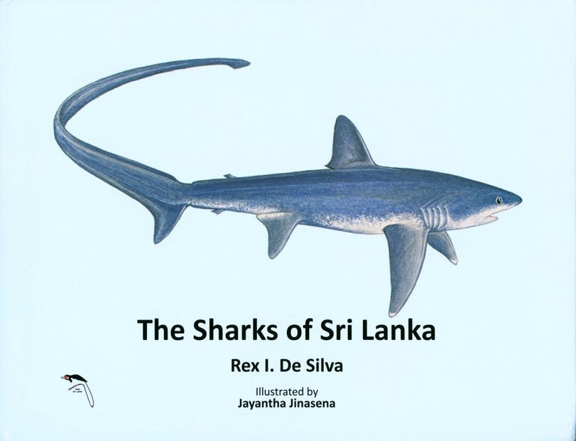 The Sharks of Sri Lanka