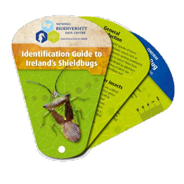 Identification Guide to Ireland's Shieldbugs