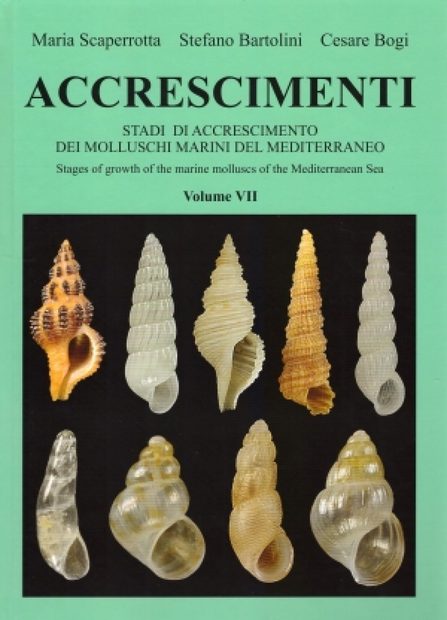 Accrescimenti, Volume 7 [English / Italian]