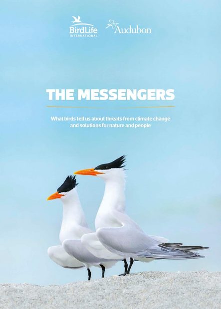 The Messengers
