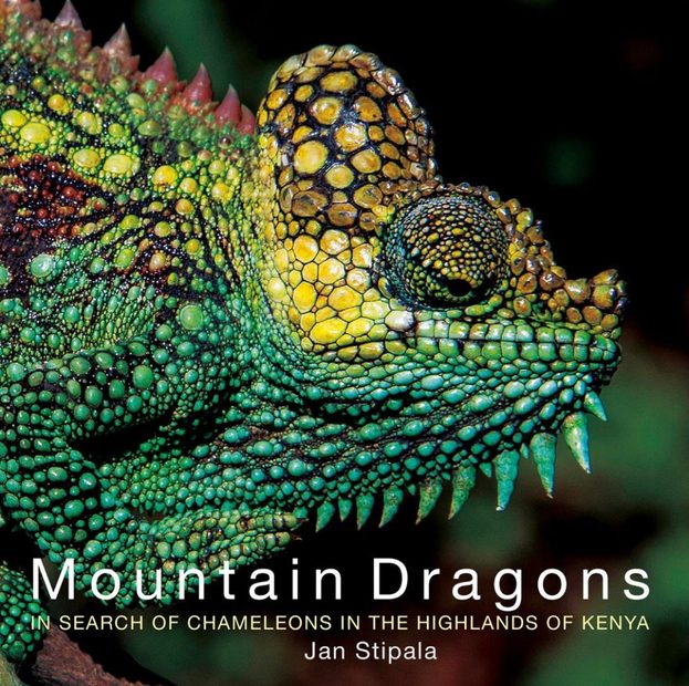 Mountain Dragons