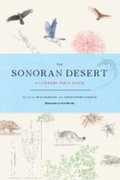 The Sonoran Desert