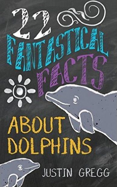 22 Fantastical Facts about Dolphins