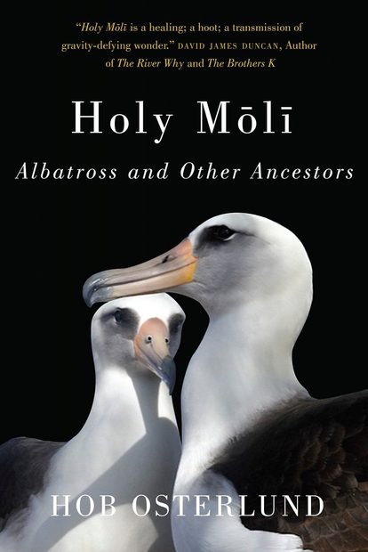 Holy Mōlī