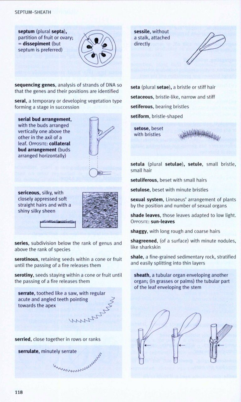 plant identification terminology an illustrated glossary download