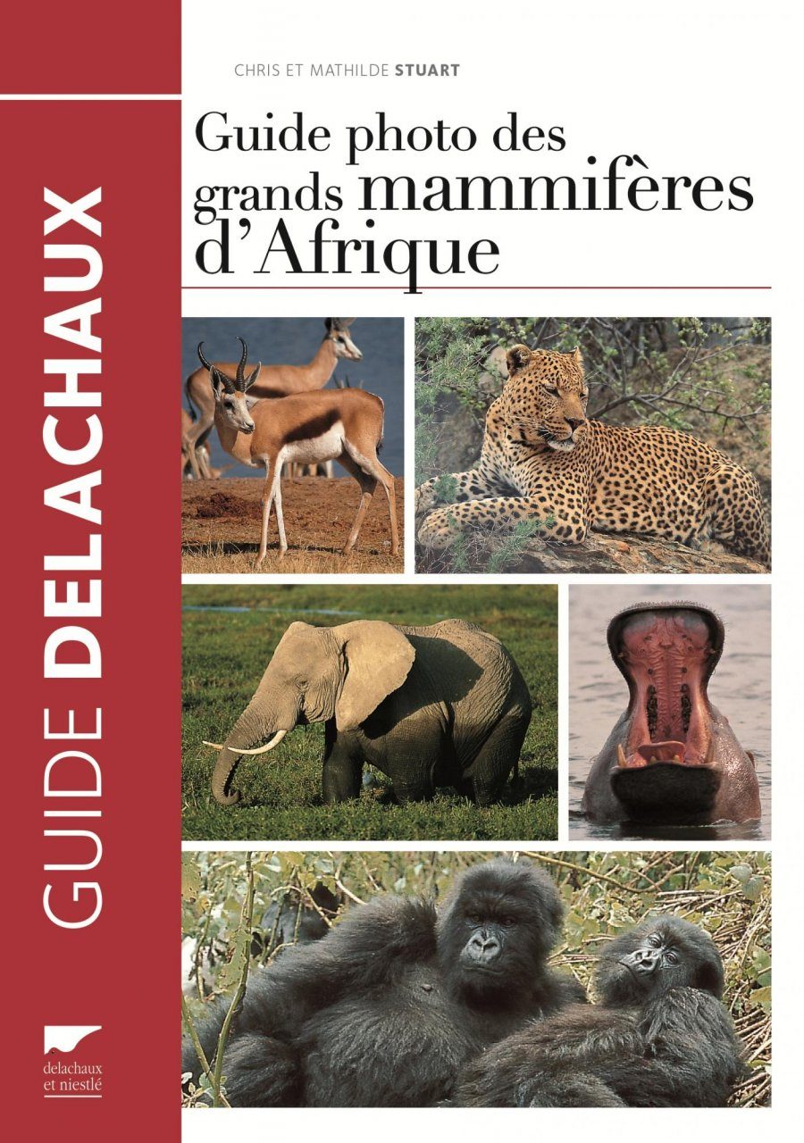 Guide Photo Des Grands Mammif 232 Res D Afrique Field Guide