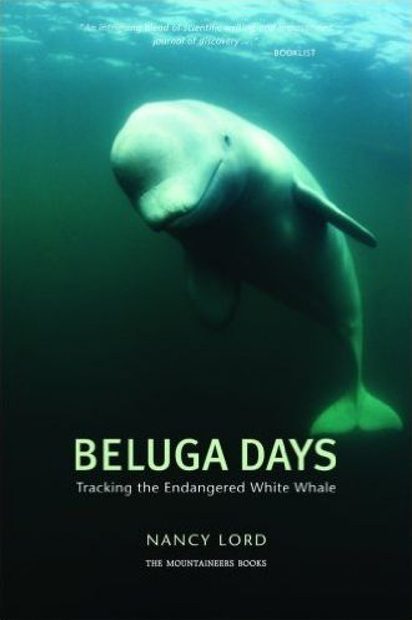 Beluga Days