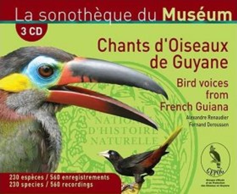Bird Voices from French Guyana / Chants d'Oiseaux de Guyane (3CD)