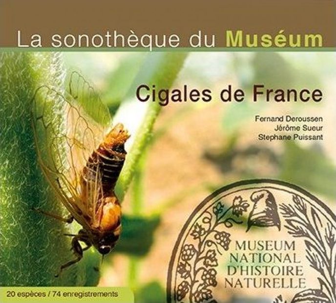 Cigales de France [Cicadas of France]