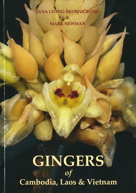 Gingers of Cambodia, Laos & Vietnam