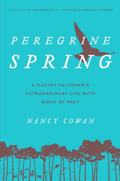 Peregrine Spring