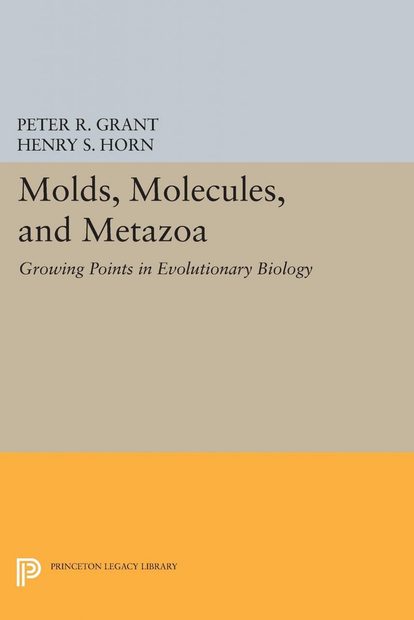Molds, Molecules, and Metazoa
