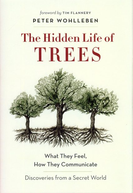 The Hidden Life of Trees