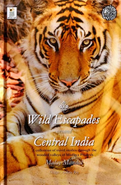 Wild Escapades Around Central India