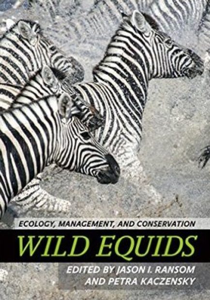 Wild Equids
