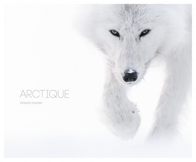 Arctique [Arctic]