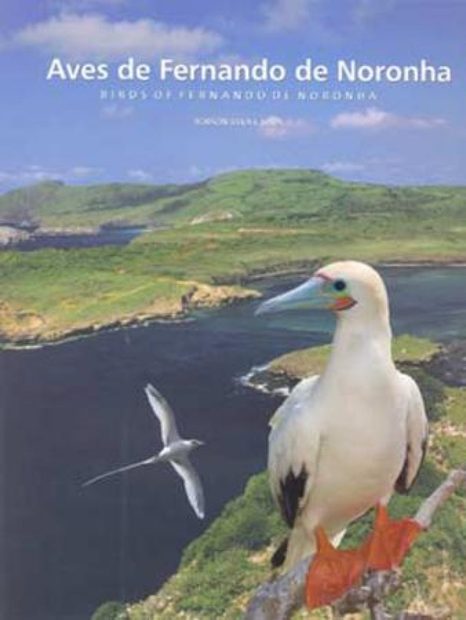 Birds of Fernando de Noronha / Aves de Fernando de Noronha
