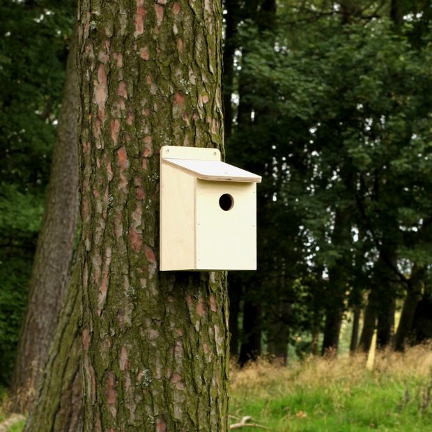 Flatpack Bird Box - 32mm Entrance Hole