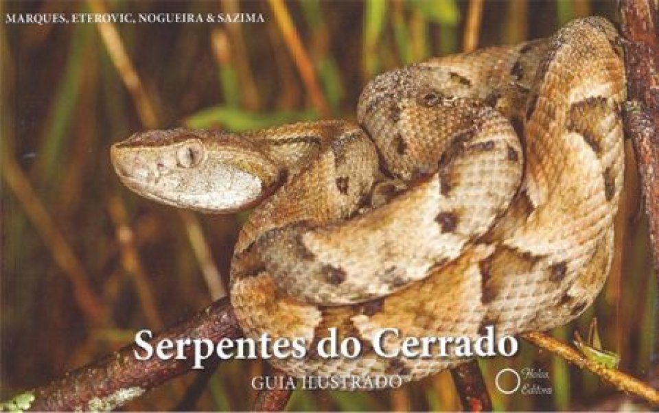 Cobra nativa do cerrado, Native snake of the brazilian savanna