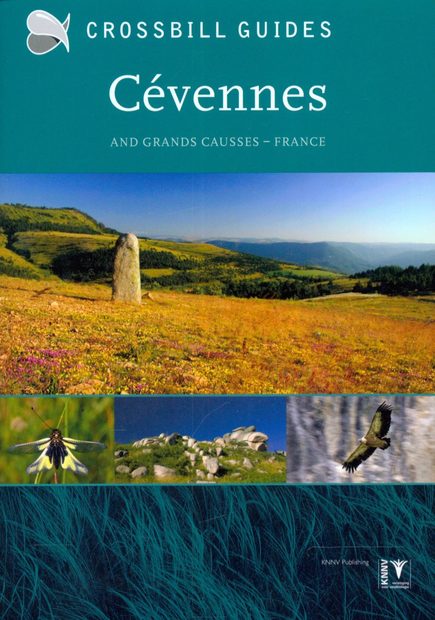 Crossbill Guide: Cévennes and Grand Causses, France
