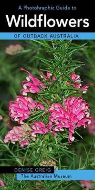 A Photographic Guide to Wildflowers of Outback Australia