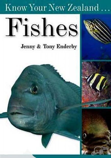 Know Your New Zealand Fishes