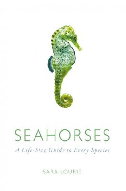Seahorses