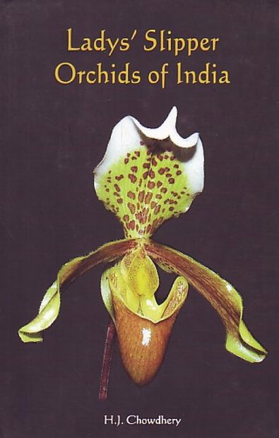 Lady's Slipper Orchids of India