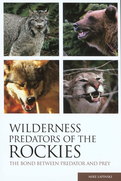 Wilderness Predators of the Rockies
