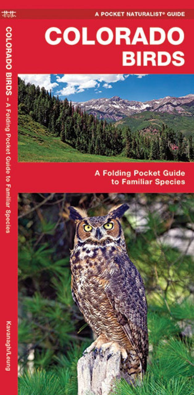 Colorado Birds A Folding Pocket Guide To Familiar Species