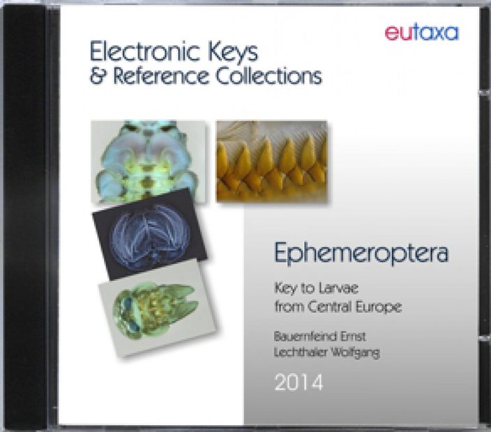 Ephemeroptera (with Wibu Key)